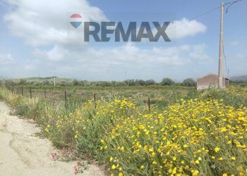 Giardino - Terreno agricolo SP 102ii
 
snc, Castel di Iudica - foto 10