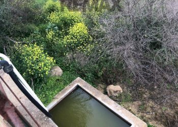 Giardino - Rustic Contrada Saracena
 
snc, Caltagirone - photo 11