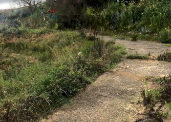 Giardino - Rustic Contrada Saracena
 
snc, Caltagirone - photo 17