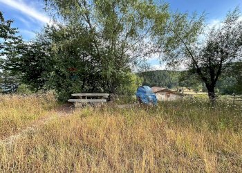 Giardino - Villa contrada agnarella, San Giovanni in Fiore - foto 19