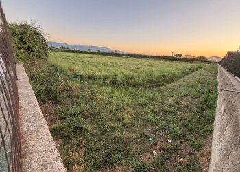 Giardino - Terreno agricolo Corigliano-Rossano - foto 4