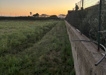 Non correlato - Terreno agricolo Corigliano-Rossano - foto 5