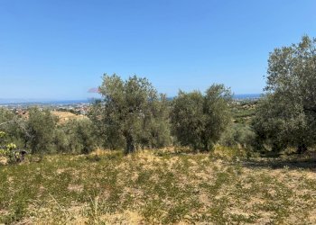 Vista delle montagne - Terreno agricolo Via Cannata
SNC, Corigliano-Rossano - foto 4