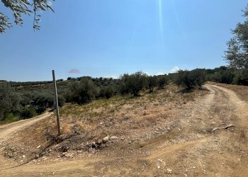 Vista delle montagne - Terreno agricolo Via Cannata
SNC, Corigliano-Rossano - foto 7