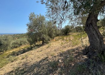 Vista delle montagne - Terreno agricolo Via Cannata
SNC, Corigliano-Rossano - foto 8
