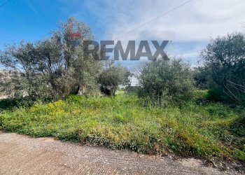 Giardino - Rustico C.le Scardacucco
 
sn, Modica - foto 10