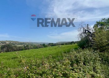 Giardino - Rustico C.le Scardacucco
 
sn, Modica - foto 14