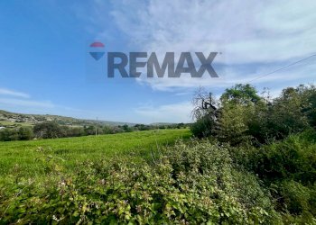 Giardino - Rustico C.le Scardacucco
 
sn, Modica - foto 15