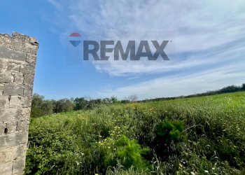 Giardino - Rustico C.le Scardacucco
 
sn, Modica - foto 16