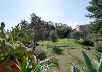 Giardino - Appartamento Bari - foto 17