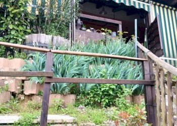 Giardino - Rustico via Valanzano, 7, Montegrosso d'Asti - foto 26