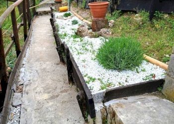 Giardino - Rustico via Valanzano, 7, Montegrosso d'Asti - foto 27