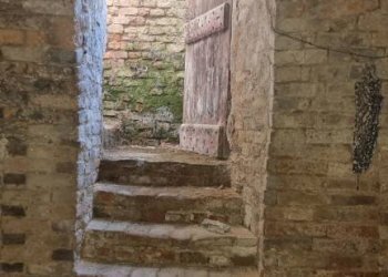 Cantina - Rustico Mombaruzzo - foto 8