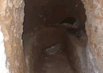 Cantina - Rustico Mombaruzzo - foto 11