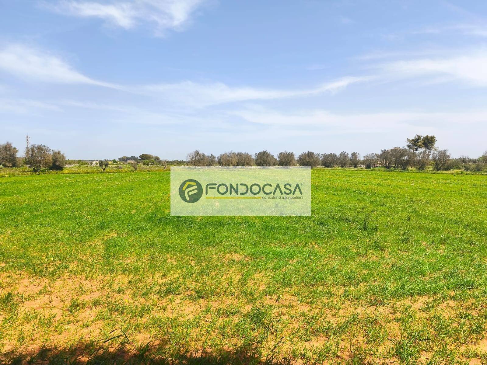 Foto 2 - Terreno agricolo Strada Comunale Zollino Alle Lamelle, Zollino - foto 2