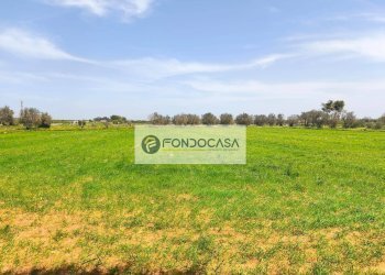 Foto 2 - Terreno agricolo Strada Comunale Zollino Alle Lamelle, Zollino - foto 2