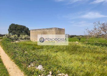 Foto 3 - Terreno agricolo Strada Comunale Zollino Alle Lamelle, Zollino - foto 3