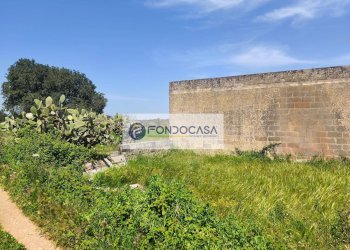 Foto 4 - Terreno agricolo Strada Comunale Zollino Alle Lamelle, Zollino - foto 4