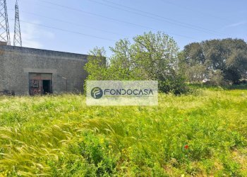 Foto 6 - Terreno agricolo Strada Comunale Zollino Alle Lamelle, Zollino - foto 6