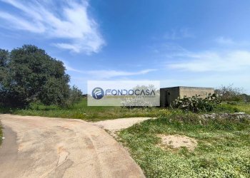 Foto 7 - Terreno agricolo Strada Comunale Zollino Alle Lamelle, Zollino - foto 7