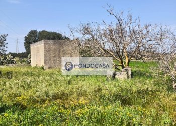 Foto 9 - Terreno agricolo Strada Comunale Zollino Alle Lamelle, Zollino - foto 9