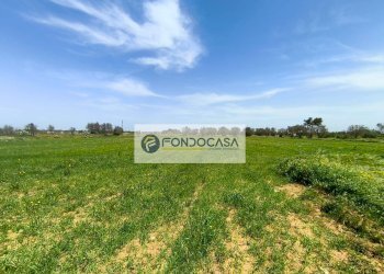 Foto 10 - Terreno agricolo Strada Comunale Zollino Alle Lamelle, Zollino - foto 10