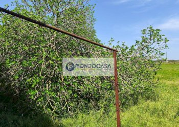 Foto 12 - Terreno agricolo Strada Comunale Zollino Alle Lamelle, Zollino - foto 12