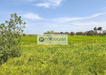 Foto 13 - Terreno agricolo Strada Comunale Zollino Alle Lamelle, Zollino - foto 13