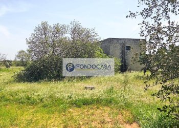 Foto 14 - Terreno agricolo Strada Comunale Zollino Alle Lamelle, Zollino - foto 14