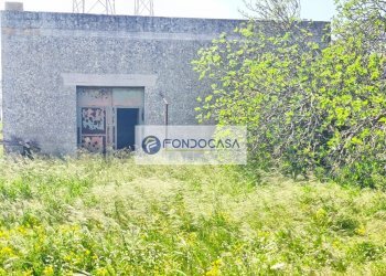 Foto 15 - Terreno agricolo Strada Comunale Zollino Alle Lamelle, Zollino - foto 15