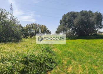 Foto 16 - Terreno agricolo Strada Comunale Zollino Alle Lamelle, Zollino - foto 16