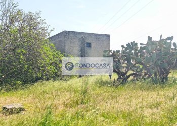 Foto 17 - Terreno agricolo Strada Comunale Zollino Alle Lamelle, Zollino - foto 17