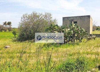 Foto 19 - Terreno agricolo Strada Comunale Zollino Alle Lamelle, Zollino - foto 19