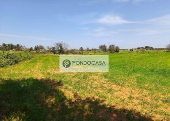 Foto 20 - Terreno agricolo Strada Comunale Zollino Alle Lamelle, Zollino - foto 20