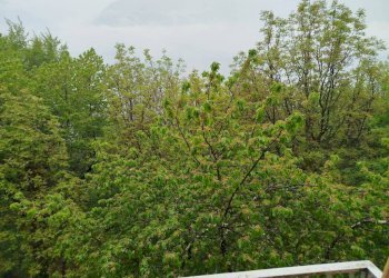 Vista - Appartamento via Balzarini, Faedo Valtellino - foto 12