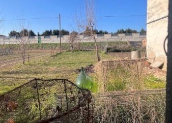 Terreno - Rustico via Nazionale, 45, Baldichieri d'Asti - foto 11
