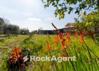 Terreno - Casa indipendente via Tremonti, 18, Pedara - foto 11