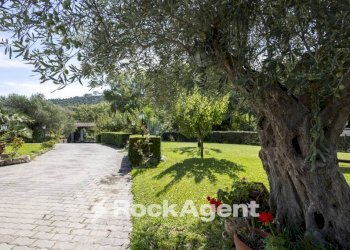 Giardino - Villa contrada Zaccano, Caraffa di Catanzaro - foto 1
