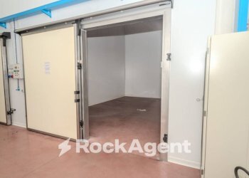 Interno non residenziale - Capannone via Corradino D'Ascanio, Acquapendente - foto 13