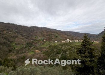 Vista - Trilocale via Corace 1, Gimigliano - foto 18