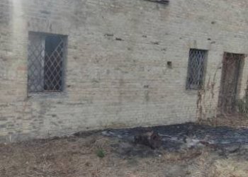 Terreno - Rustico Civitaquana - foto 6