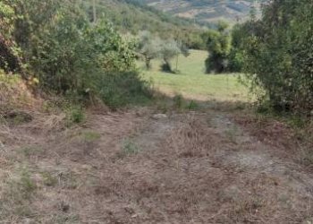 Terreno - Rustico Civitaquana - foto 8