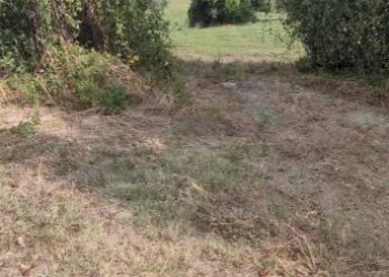 Terreno - Rustico Civitaquana - foto 20