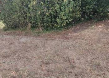 Terreno - Rustico Civitaquana - foto 21