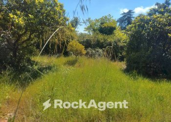 Terreno - Terreno edificabile via Antonio Zanoni, 49, Roma - foto 20