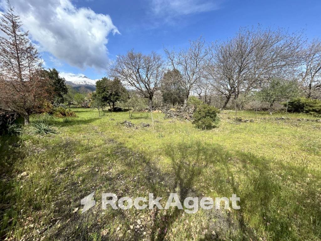 Terreno - Terreno agricolo Campo Nessunescluso, Segreta, Belpasso - foto 1