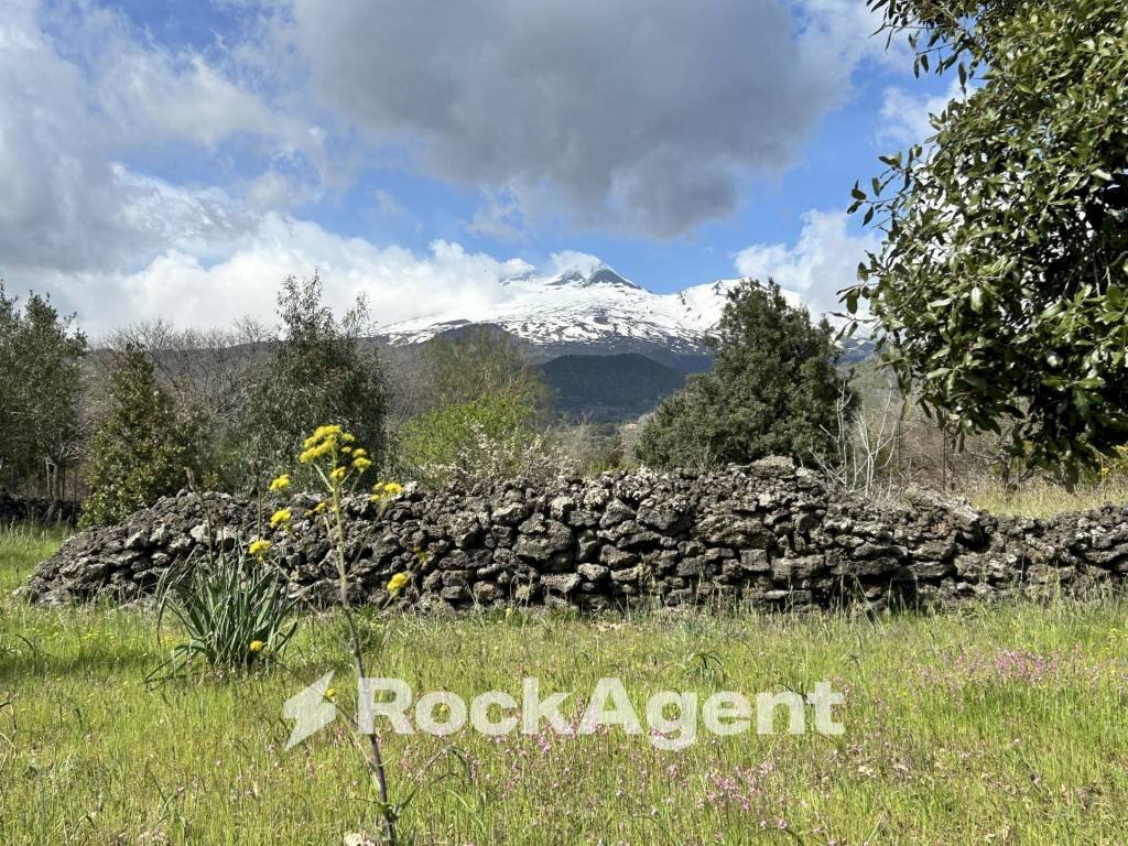 Terreno - Terreno agricolo Campo Nessunescluso, Segreta, Belpasso - foto 2
