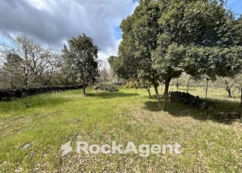 Terreno - Terreno agricolo Campo Nessunescluso, Segreta, Belpasso - foto 10