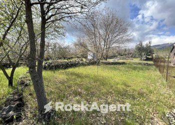 Terreno - Terreno agricolo Campo Nessunescluso, Segreta, Belpasso - foto 11