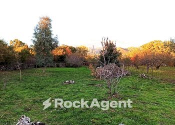 Terreno - Terreno agricolo Campo Nessunescluso, Segreta, Belpasso - foto 12